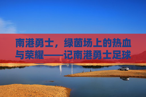 南港勇士,绿茵场上的热血与荣耀——记南港勇士足球队的不懈奋斗