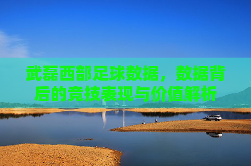 武磊西部足球数据,数据背后的竞技表现与价值解析