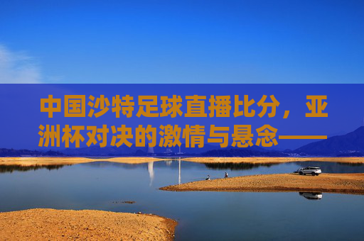 中国沙特足球直播比分，亚洲杯对决的激情与悬念——从预判到实况的精彩追踪