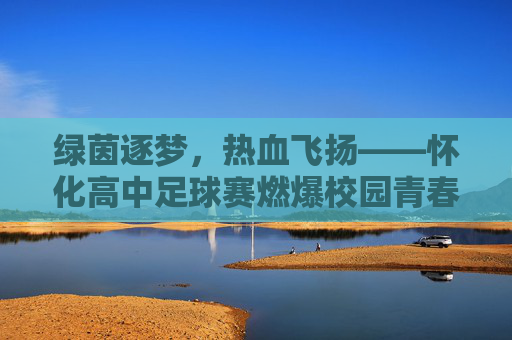 绿茵逐梦,热血飞扬——怀化高中足球赛燃爆校园青春