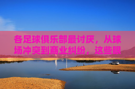 各足球俱乐部最讨厌,从球场冲突到商业纠纷,这些眼中钉为何让俱乐部头疼?