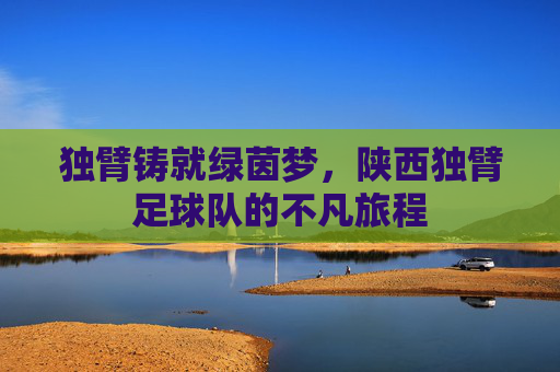 独臂铸就绿茵梦,陕西独臂足球队的不凡旅程