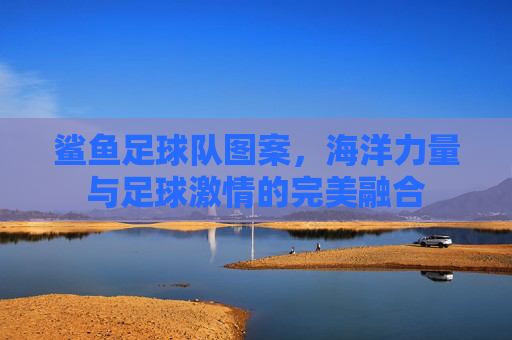 鲨鱼足球队图案，海洋力量与足球激情的完美融合
