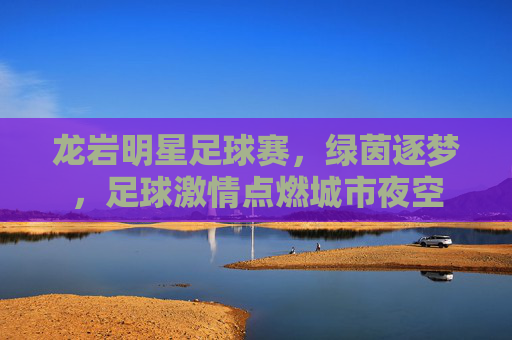 龙岩明星足球赛,绿茵逐梦,足球激情点燃城市夜空