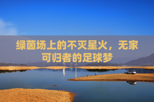 绿茵场上的不灭星火，无家可归者的足球梦