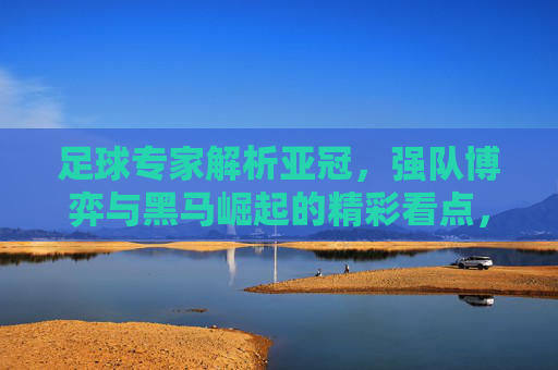 足球专家解析亚冠，强队博弈与黑马崛起的精彩看点，足球专家解析亚冠，强队博弈与黑马崛起的精彩看点