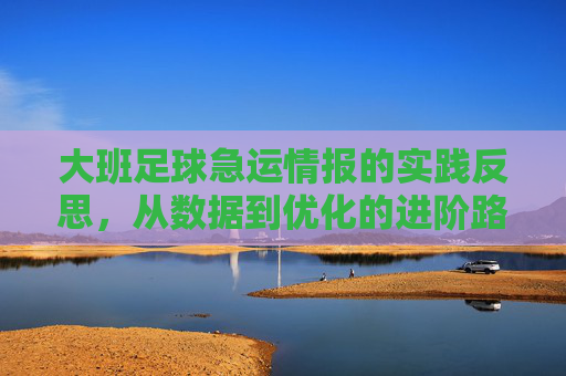 大班足球急运情报的实践反思,从数据到优化的进阶路径,大班足球急运情报的实践反思,从数据到优化的进阶路径