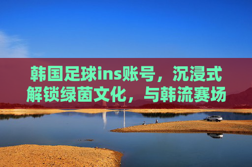 韩国足球ins账号,沉浸式解锁绿茵文化,与韩流赛场零距离互动