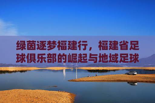 绿茵逐梦福建行,福建省足球俱乐部的崛起与地域足球文化传承