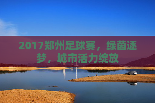 2017郑州足球赛，绿茵逐梦，城市活力绽放