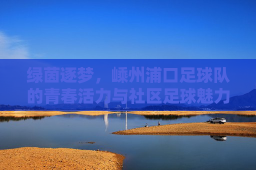 绿茵逐梦，嵊州浦口足球队的青春活力与社区足球魅力，绿茵逐梦，嵊州浦口足球队的青春活力与社区足球魅力