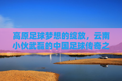 高原足球梦想的绽放,云南小伙武磊的中国足球传奇之路