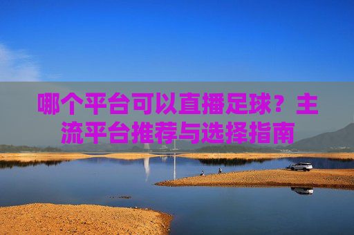 哪个平台可以直播足球?主流平台推荐与选择指南