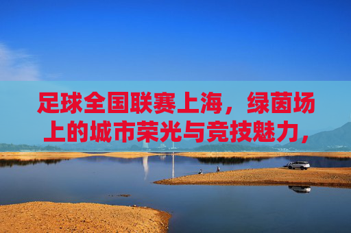 足球全国联赛上海,绿茵场上的城市荣光与竞技魅力,足球全国联赛上海,绿茵场上的城市荣光与竞技魅力