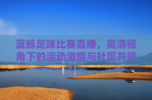 蓝鲸足球比赛直播，高清视角下的运动激情与社区共鸣