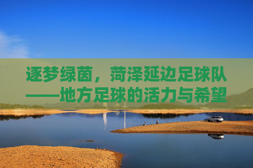逐梦绿茵，菏泽延边足球队——地方足球的活力与希望，逐梦绿茵，菏泽延边足球队——地方足球的活力与希望