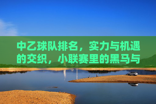 中乙球队排名，实力与机遇的交织，小联赛里的黑马与老将故事