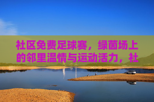 社区免费足球赛,绿茵场上的邻里温情与运动活力,社区免费足球赛,绿茵场上的邻里温情与运动活力