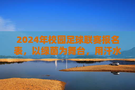2024年校园足球联赛报名表，以绿茵为舞台，用汗水铸就青春荣光，2024年校园足球联赛报名表，以绿茵为舞台，用汗水铸就青春荣光