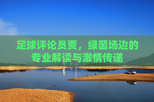 足球评论员贾,绿茵场边的专业解读与激情传递