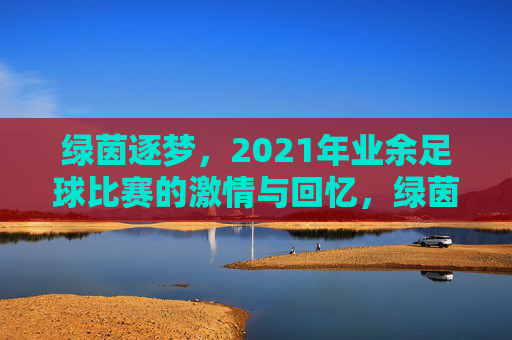 绿茵逐梦,2021年业余足球比赛的激情与回忆,绿茵逐梦,2021年业余足球比赛的激情与回忆