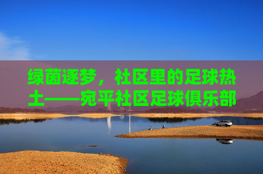 绿茵逐梦,社区里的足球热土——宛平社区足球俱乐部的成长故事,绿茵逐梦,社区里的足球热土——宛平社区足球俱乐部的成长故事