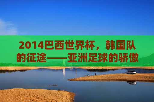 2014巴西世界杯，韩国队的征途——亚洲足球的骄傲与挑战，2014巴西世界杯，韩国队的征途——亚洲足球的骄傲与挑战