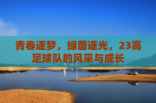 青春逐梦,绿茵逐光,23高足球队的风采与成长
