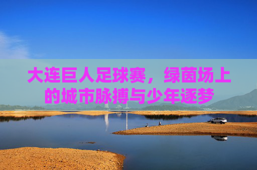 大连巨人足球赛,绿茵场上的城市脉搏与少年逐梦