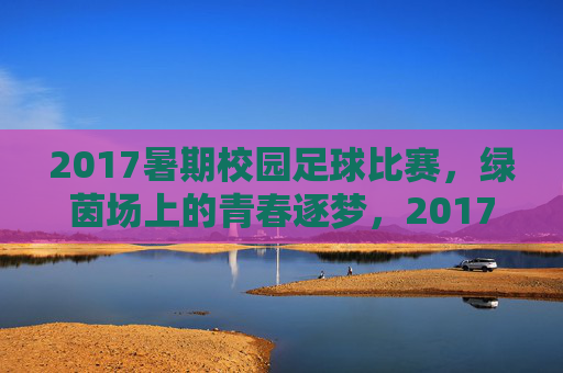 2017暑期校园足球比赛，绿茵场上的青春逐梦，2017暑期校园足球比赛，绿茵场上的青春逐梦