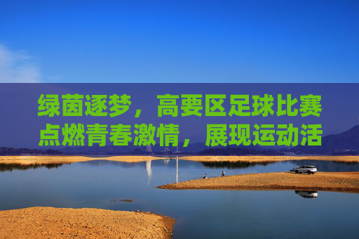 绿茵逐梦，高要区足球比赛点燃青春激情，展现运动活力