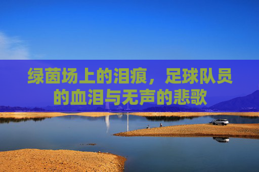 绿茵场上的泪痕,足球队员的血泪与无声的悲歌
