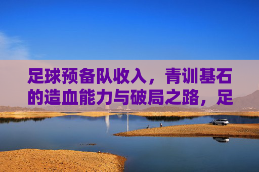 足球预备队收入，青训基石的造血能力与破局之路，足球预备队收入，青训基石的造血能力与破局之路
