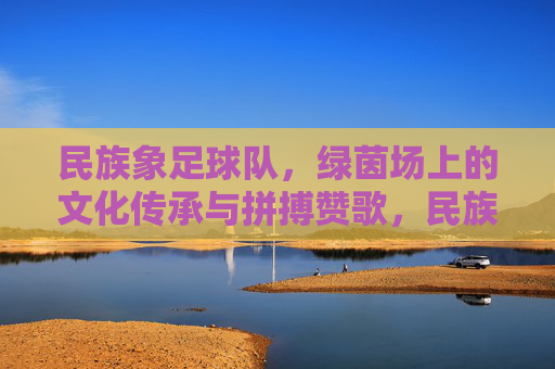 民族象足球队,绿茵场上的文化传承与拼搏赞歌,民族象足球队,绿茵场上的文化传承与拼搏赞歌