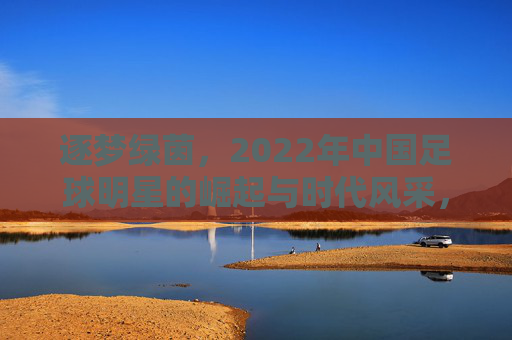 逐梦绿茵，2022年中国足球明星的崛起与时代风采，逐梦绿茵，2022年中国足球明星的崛起与时代风采