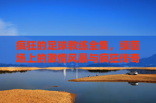 疯狂的足球教练全集,绿茵场上的激情风暴与疯狂传奇