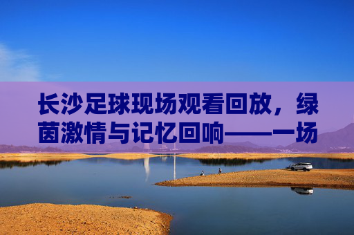 长沙足球现场观看回放,绿茵激情与记忆回响——一场关于热爱与传承的足球盛宴