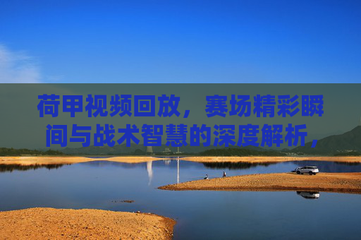 荷甲视频回放，赛场精彩瞬间与战术智慧的深度解析，荷甲视频回放，赛场精彩瞬间与战术智慧的深度解析