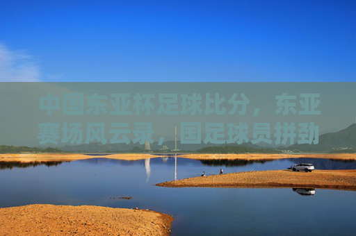中国东亚杯足球比分,东亚赛场风云录,国足球员拼劲与比分的交织,东亚杯赛场风云,中国足球拼劲与比分的交织比拼