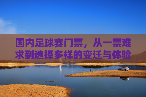 国内足球赛门票,从一票难求到选择多样的变迁与体验,国内足球赛门票,从一票难求到选择多样的变迁与体验