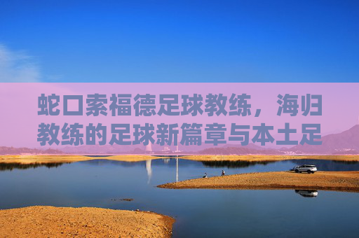 蛇口索福德足球教练，海归教练的足球新篇章与本土足球的深度融合