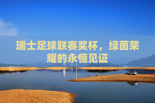 瑞士足球联赛奖杯,绿茵荣耀的永恒见证