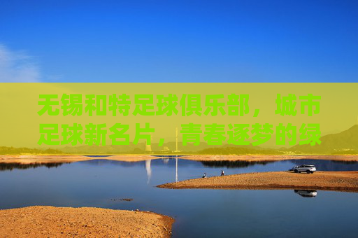 无锡和特足球俱乐部，城市足球新名片，青春逐梦的绿茵舞台，无锡和特足球俱乐部，城市足球新名片，青春逐梦的绿茵舞台