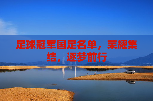 足球冠军国足名单,荣耀集结,逐梦前行