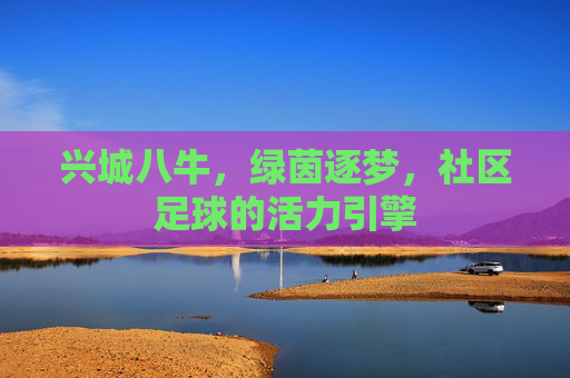 兴城八牛,绿茵逐梦,社区足球的活力引擎