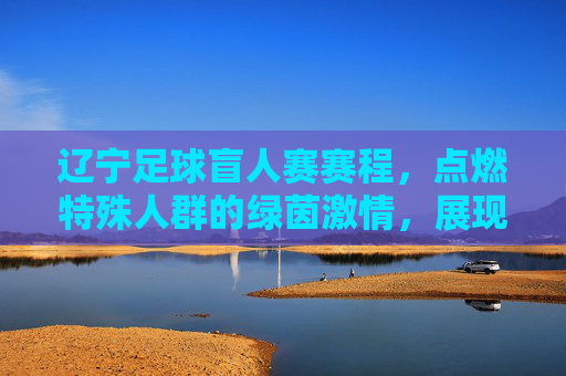 辽宁足球盲人赛赛程，点燃特殊人群的绿茵激情，展现体育公平与包容