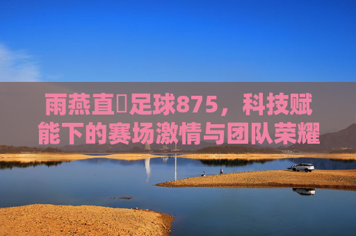 雨燕直墦足球875,科技赋能下的赛场激情与团队荣耀
