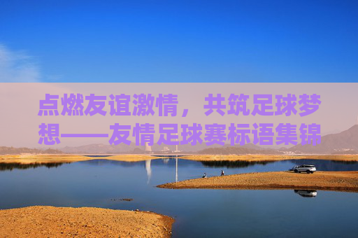 点燃友谊激情,共筑足球梦想——友情足球赛标语集锦与创意解析
