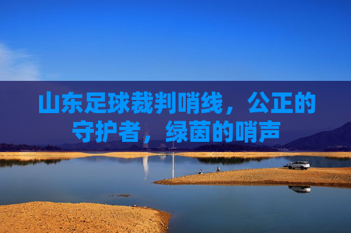 山东足球裁判哨线,公正的守护者,绿茵的哨声
