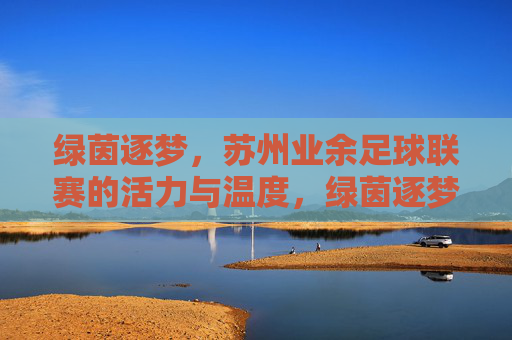 绿茵逐梦,苏州业余足球联赛的活力与温度,绿茵逐梦,苏州业余足球联赛的活力与温度
